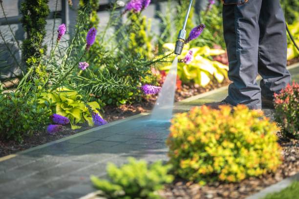 Best Restaurant Pressure Washing  in Chula Vista, TX